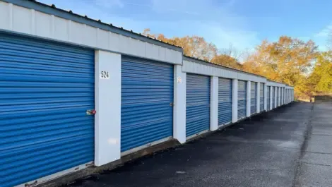 Self storage units with controlled entry and security monitoring